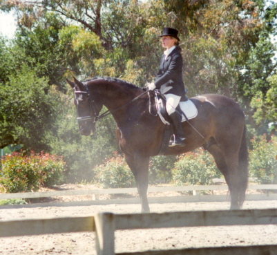 Ami geritten von Ursula von der Leyen an der Stanford Equestrian Center