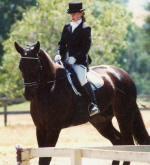 Dr. Ursula von der Leyen riding Ami at Stanford Equestrian Center