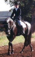 Lebewohl Ami: Ami geritten von Ursula von der Leyen an der Stanford Equestrian Center