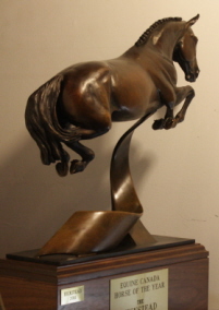 Hickstead Trophy for Equine Canadas Horse of the Year.  Hickstead first recipient for 2011