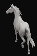Pferdestatuen: arabische pferdeskulpturen: Work in progress