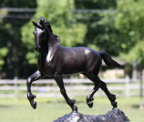 Friesian Horse Sculpture