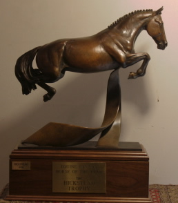 Hickstead Trophy Pferd des Jahres