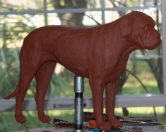 Emma in clay-Bull Mastif