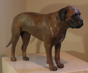 Bull Mastif in bronze, commissioned by owner Bull Mastif in bronze, commissioned by owner